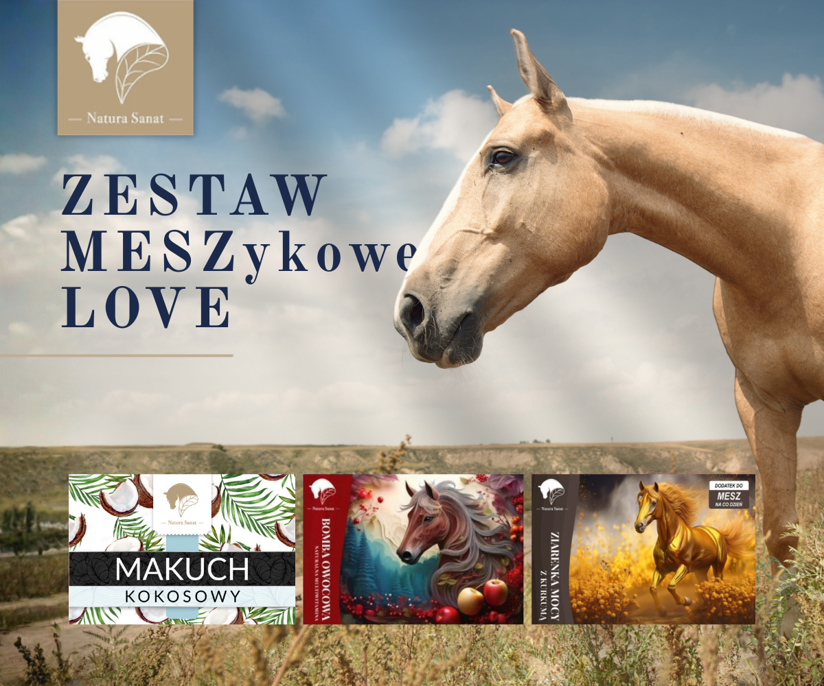 Zestaw MESZykowe LOVE dla konia